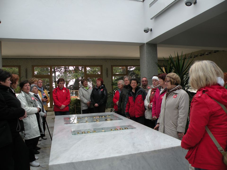 17.4.2012 beograd - hiša cvetja - foto povečava
