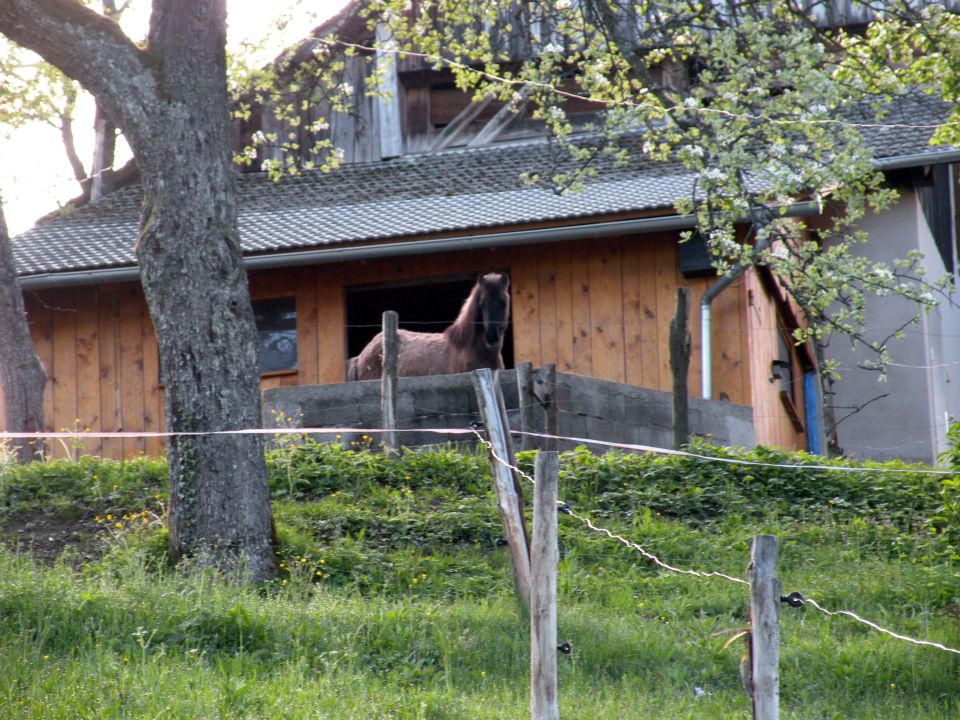 25.4.12 Laze - foto povečava