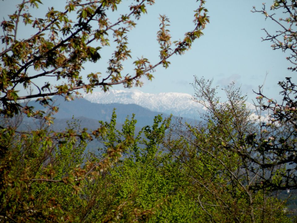 25.4.12 Laze - foto povečava