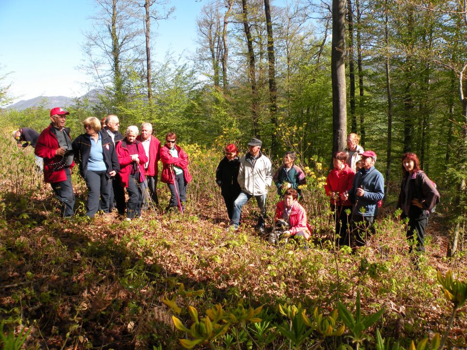 25.4.12 Laze - foto povečava