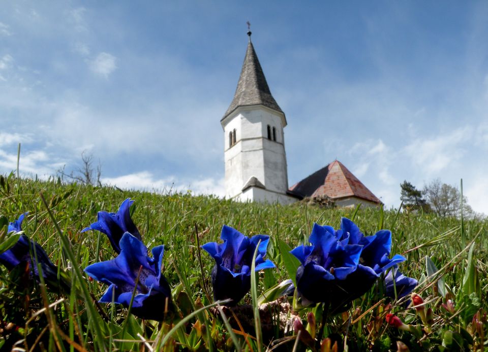 25.4.12 Laze - foto povečava