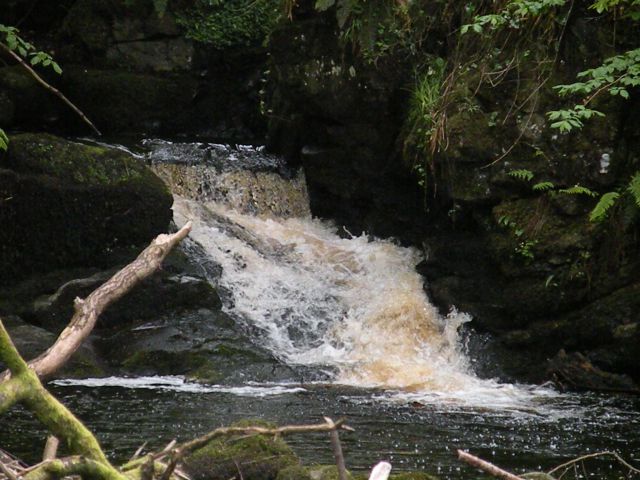 Irska 19.5.12 Glenariff Forest Park - foto