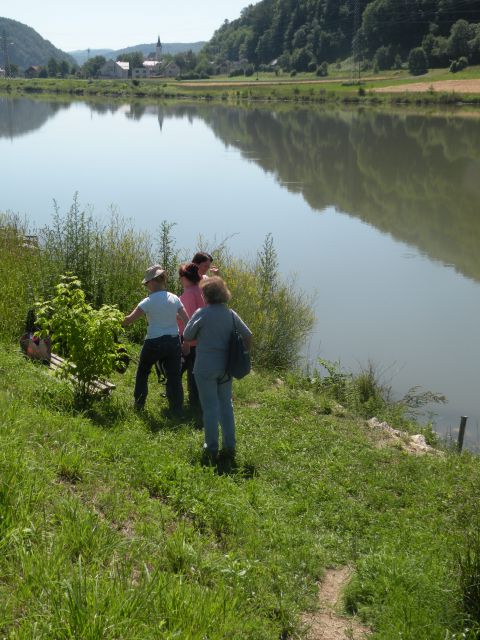 16.6.12 litopunkturni kamni - foto