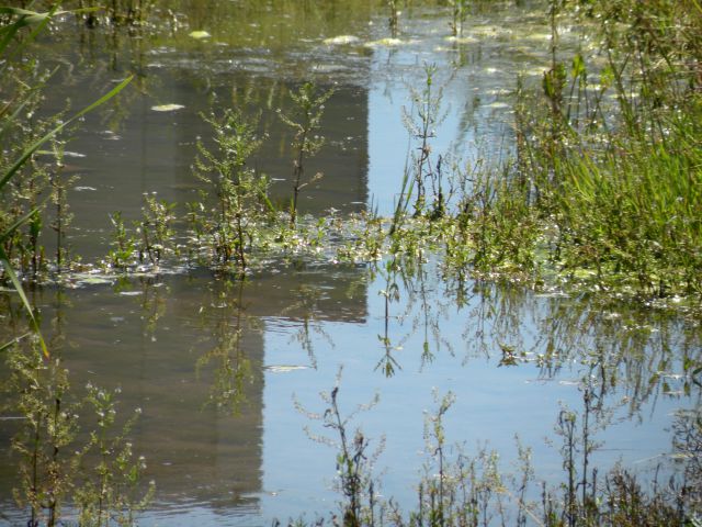 16.6.12 litopunkturni kamni - foto