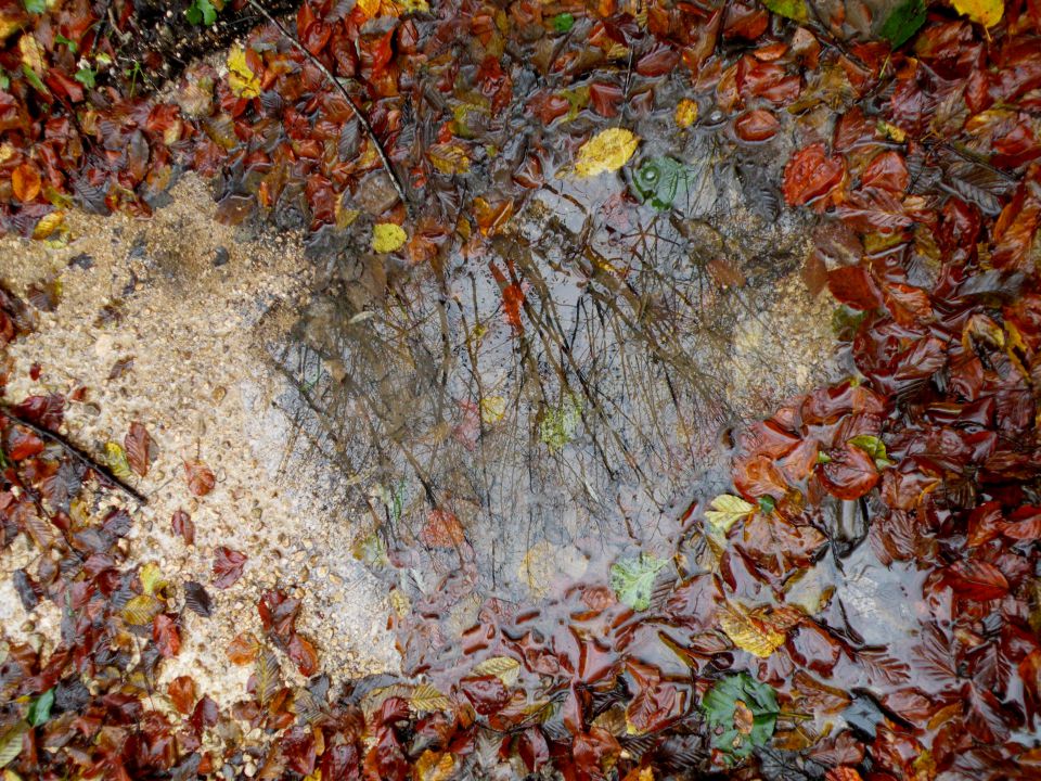 8.11.12 Kamensko - foto povečava