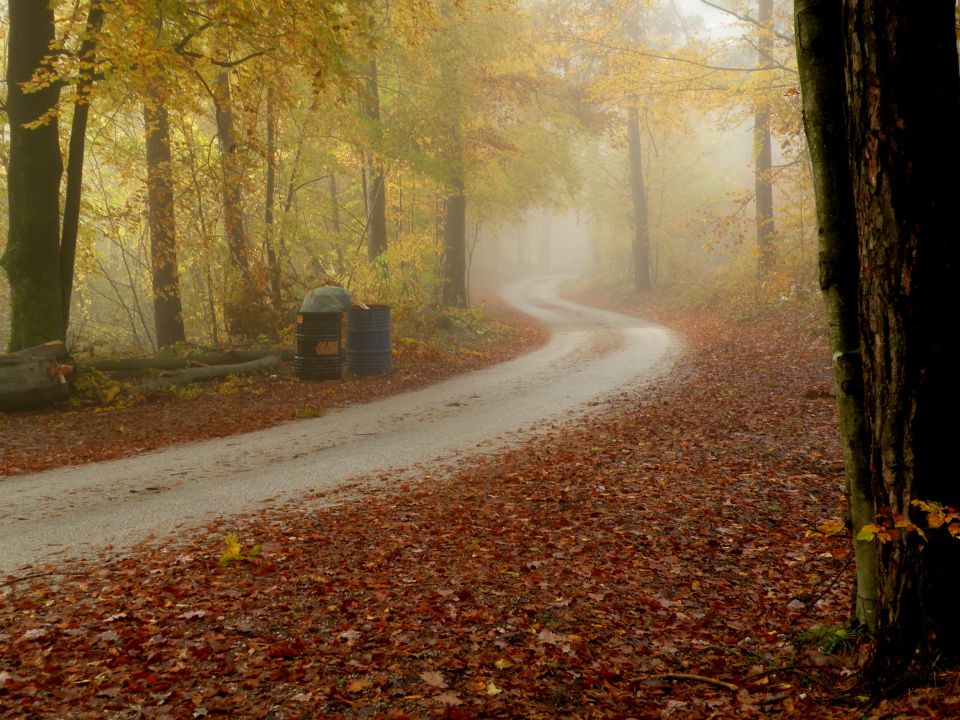 8.11.12 Kamensko - foto povečava