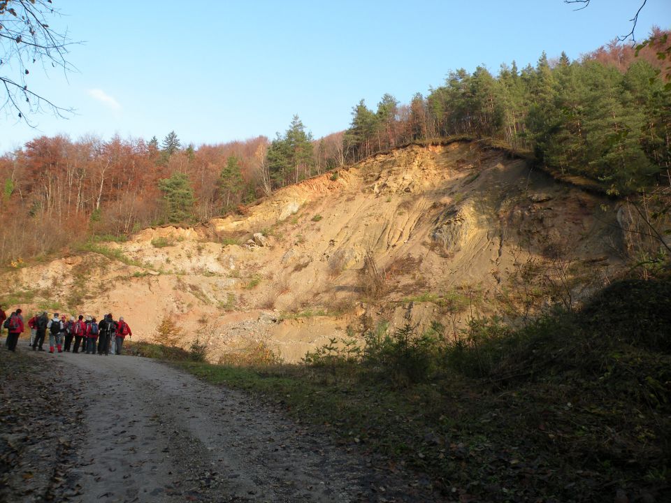 14.11.12 Leskovec - foto povečava