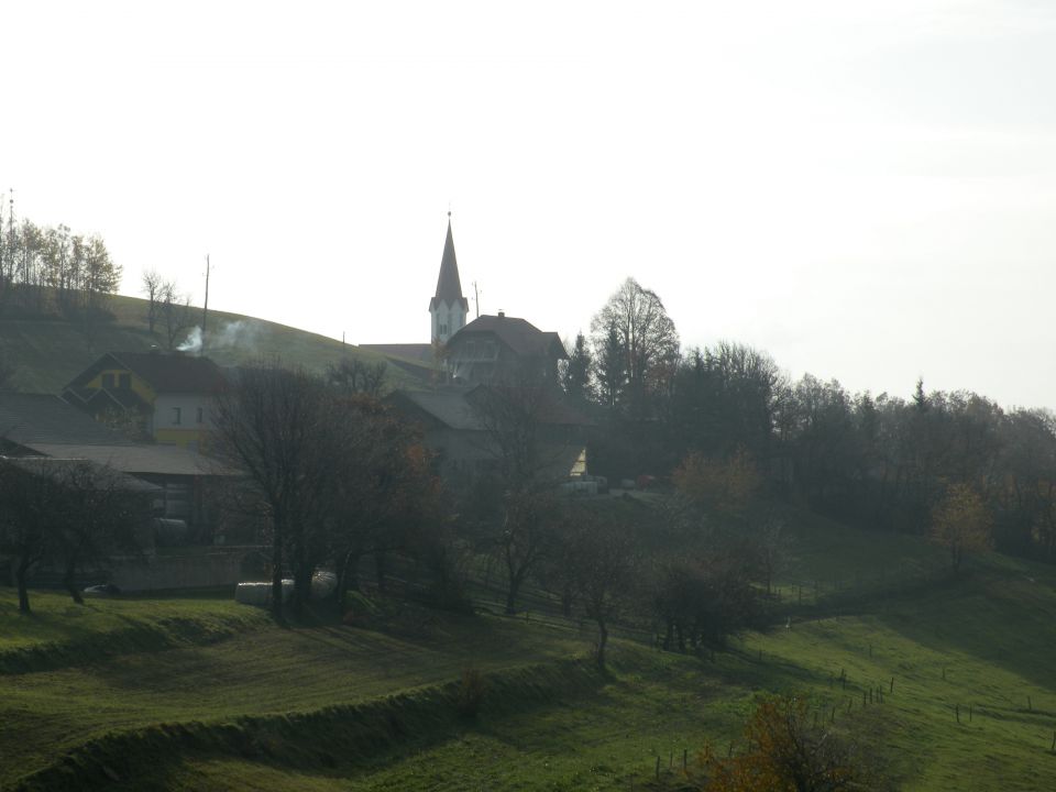 14.11.12 Leskovec - foto povečava