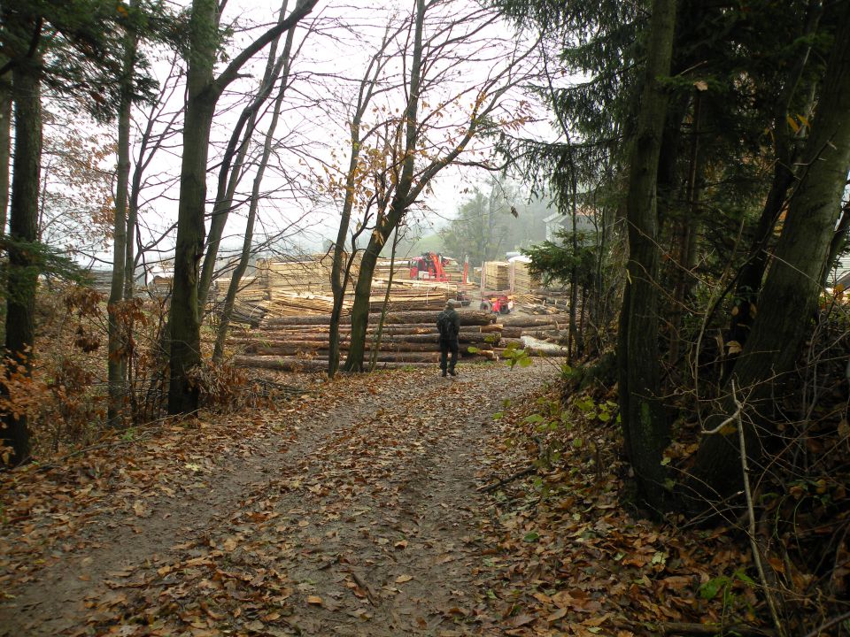 Janez - Osredek 17.10.12  - foto povečava