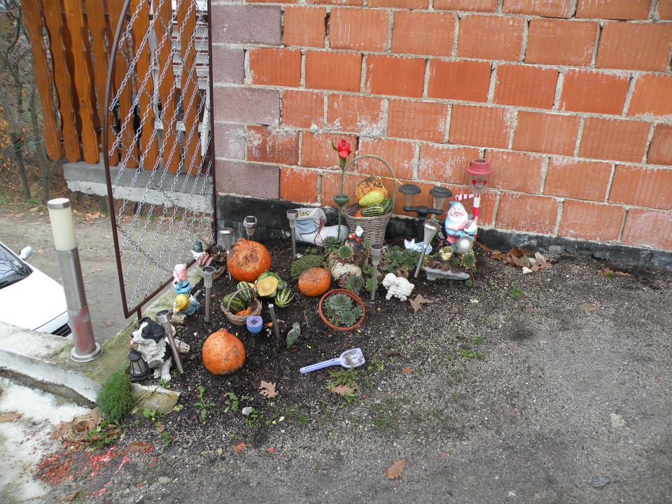 Janez - Osredek 17.10.12  - foto povečava