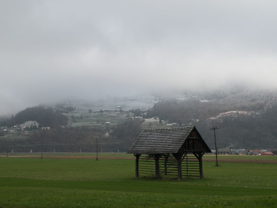 5.12.2012 ura zgodovinska v zavetišču - foto povečava