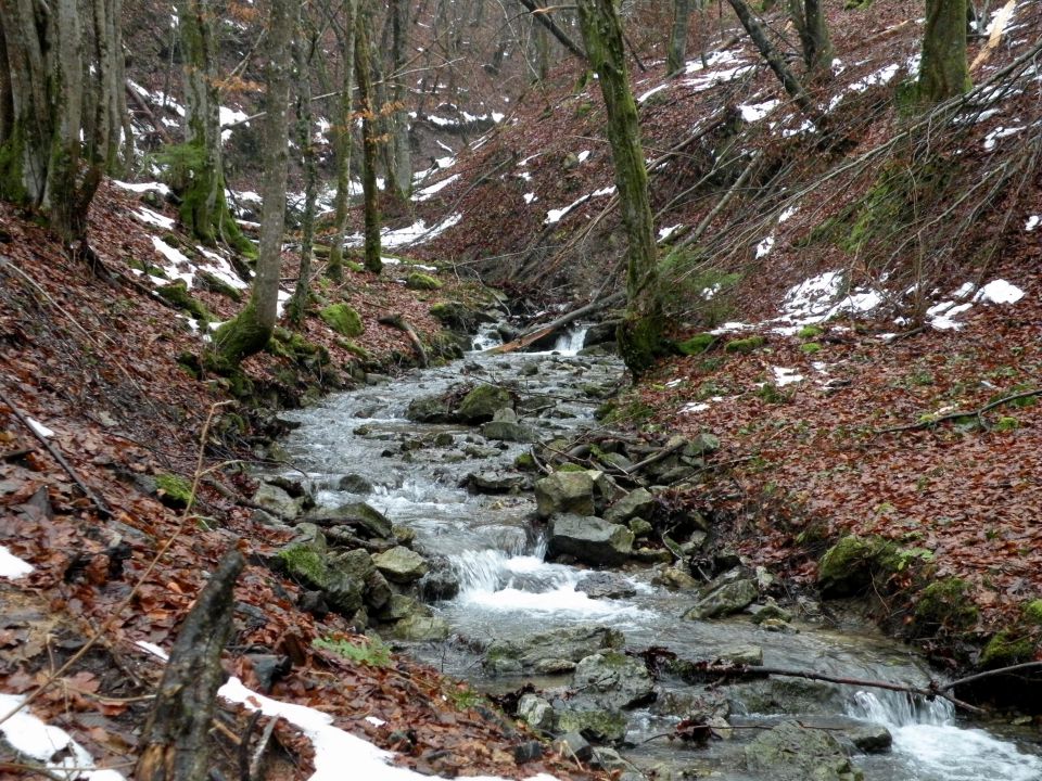 Jablanca 19.12.12 - foto povečava