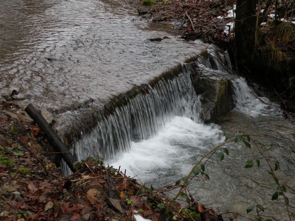 Jablanca 19.12.12 - foto povečava