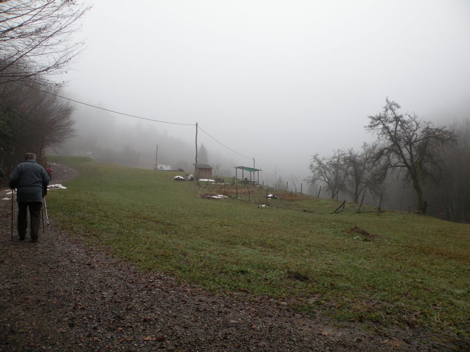 Jablanca 19.12.12 - foto povečava