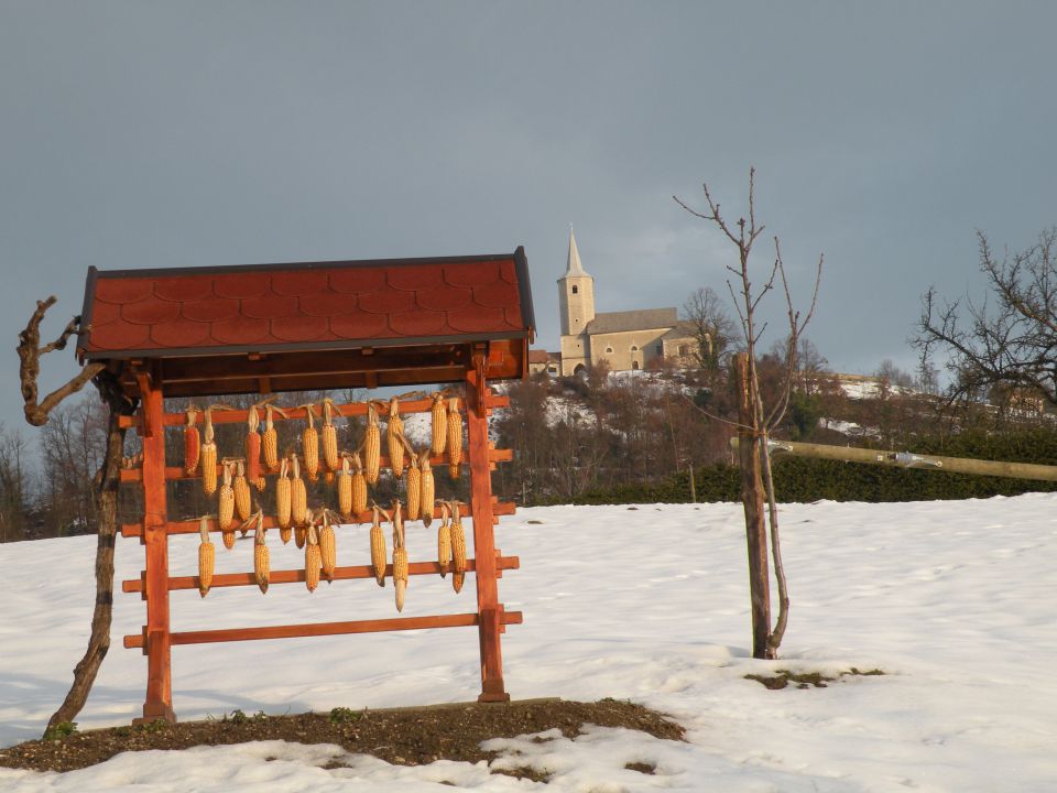 30.1.13 sv.Rok, Lamprče - foto povečava