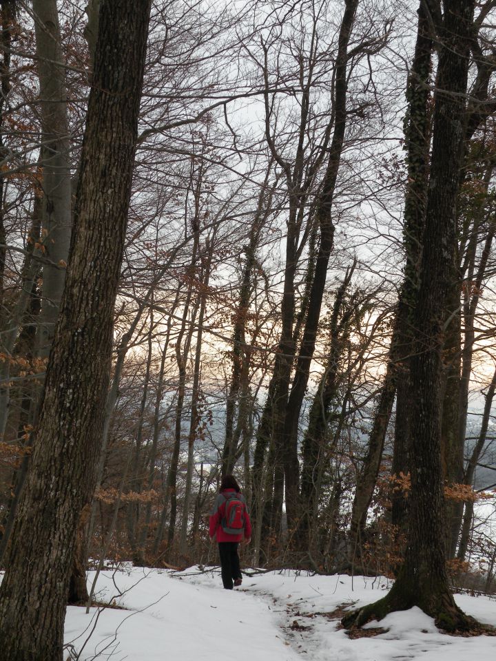 30.1.13 sv.Rok, Lamprče - foto povečava