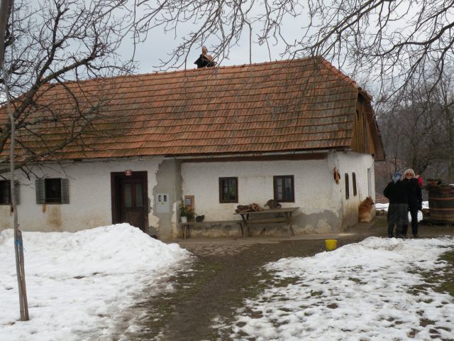 30.1.13 sv.Rok, Lamprče - foto