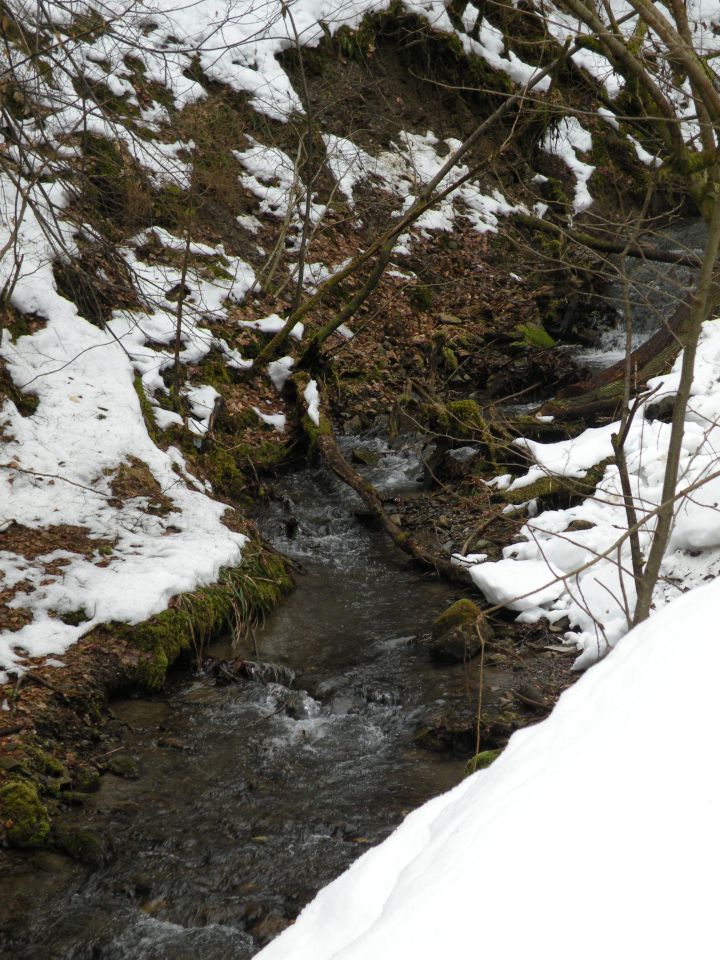 5.3.13 Lisičje jeme, Živa gora, Mrtovec - foto povečava