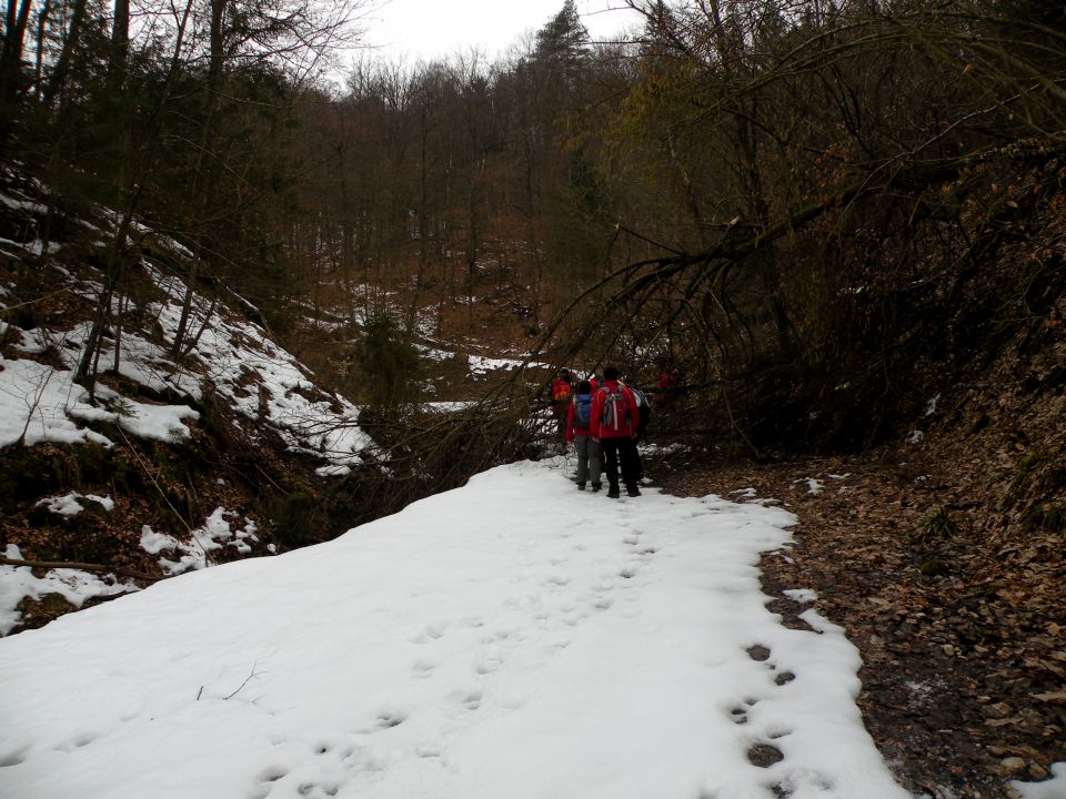 5.3.13 Lisičje jeme, Živa gora, Mrtovec - foto povečava