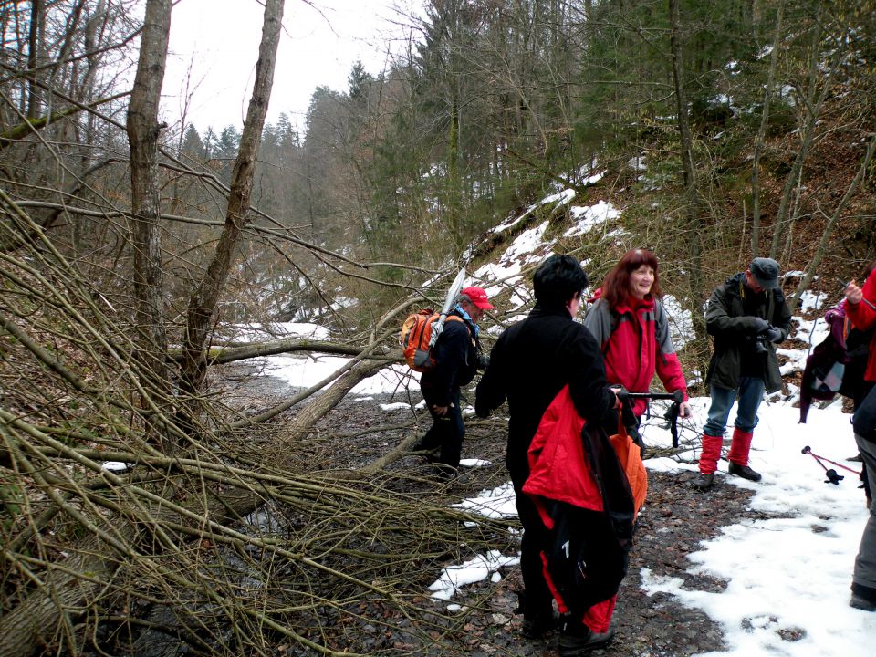 5.3.13 Lisičje jeme, Živa gora, Mrtovec - foto povečava