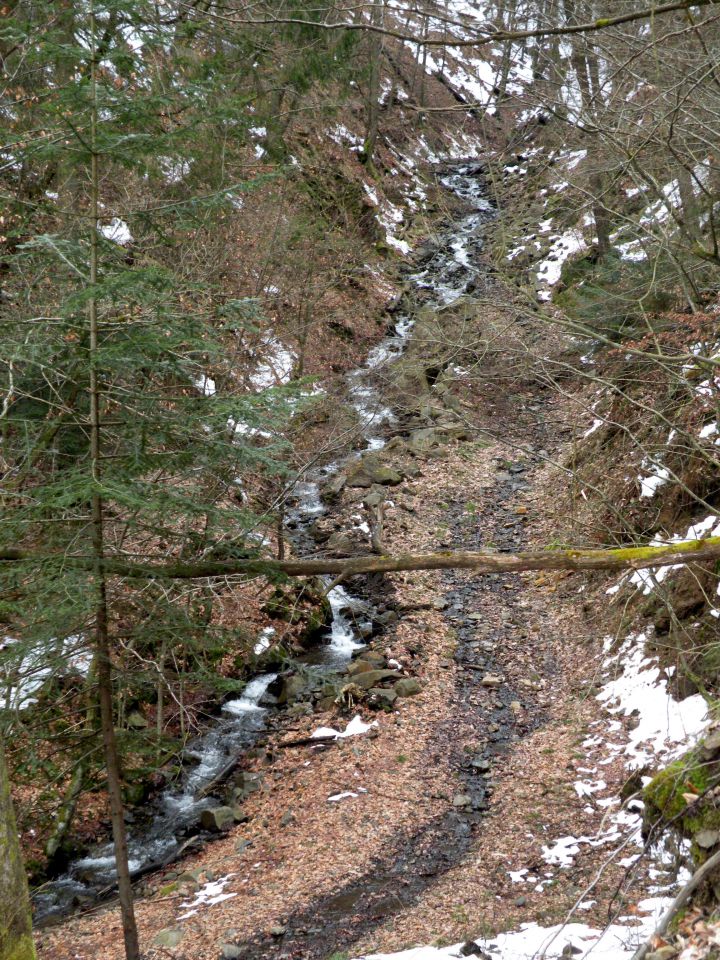 5.3.13 Lisičje jeme, Živa gora, Mrtovec - foto povečava