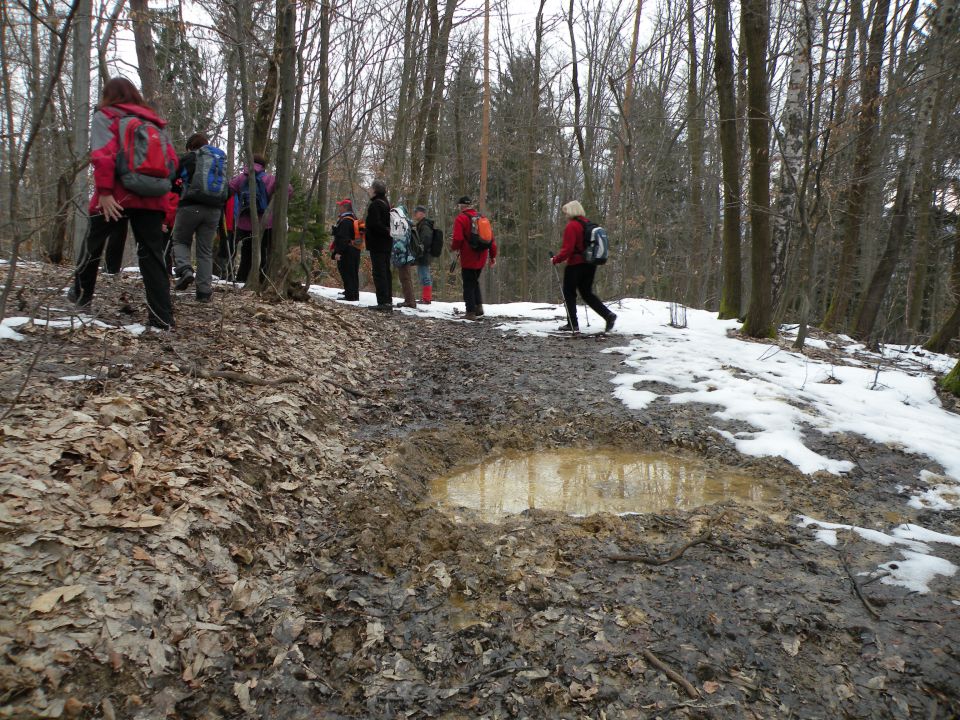 5.3.13 Lisičje jeme, Živa gora, Mrtovec - foto povečava