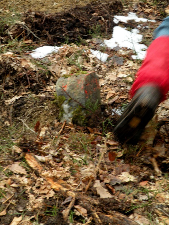 5.3.13 Lisičje jeme, Živa gora, Mrtovec - foto povečava