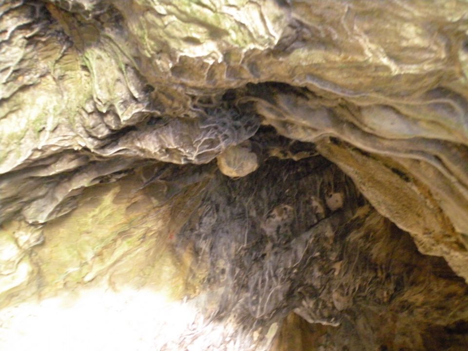 10.4.13 Ajdovska jama - foto povečava