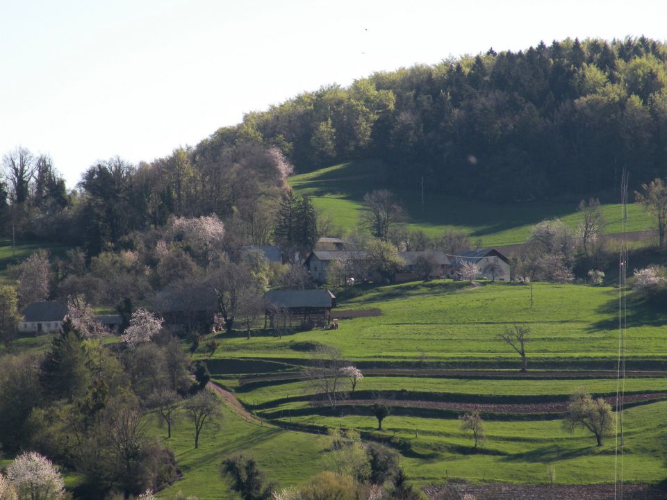 21.4.4. Svinjsko, Grdi graben - foto povečava