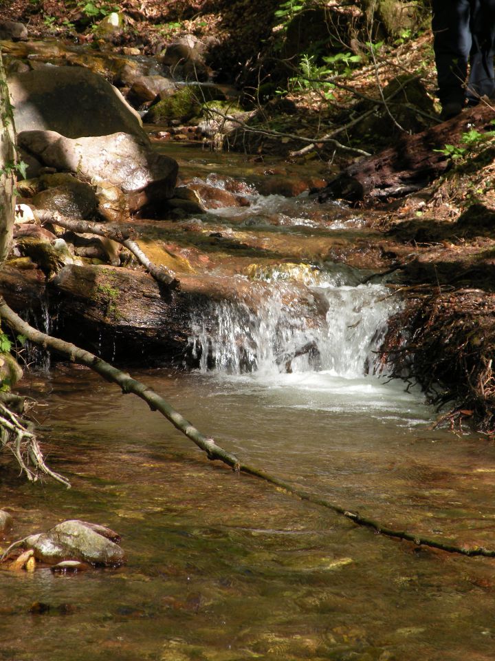 21.4.4. Svinjsko, Grdi graben - foto povečava