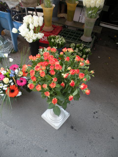 28.4.13 Romunija - foto