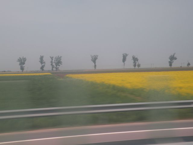 28.4.13 Romunija - foto