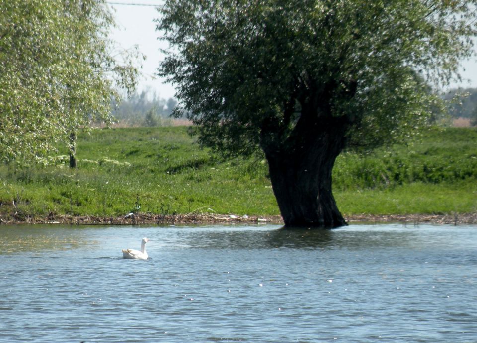 30.4.13 po kanalih - foto povečava