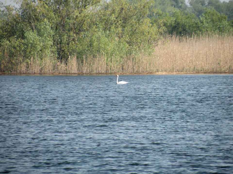 2.5.13 povratek r.v. - Tulcea - foto povečava