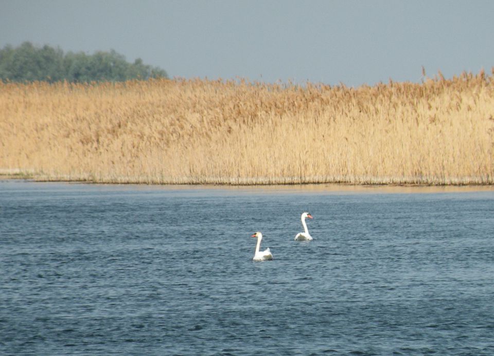 2.5.13 povratek r.v. - Tulcea - foto povečava