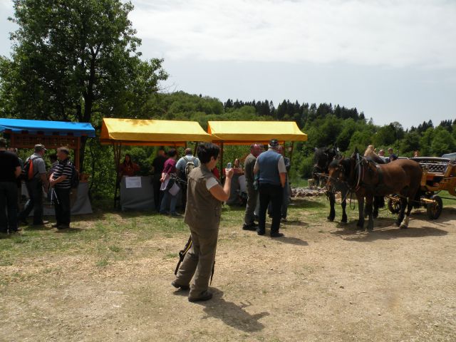 19.5.13 parada učenja magolnik - foto