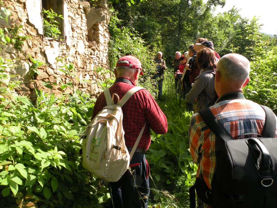 29.5.13 Z.V. ozvezdje Oven - foto povečava