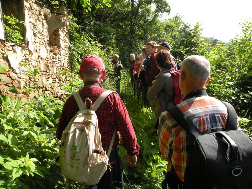 29.5.13 Z.V. ozvezdje Oven - foto povečava