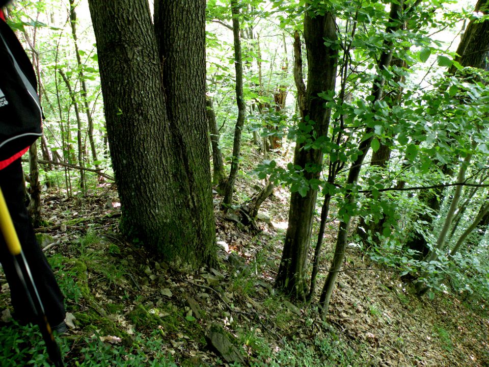 29.5.13 Z.V. ozvezdje Oven - foto povečava