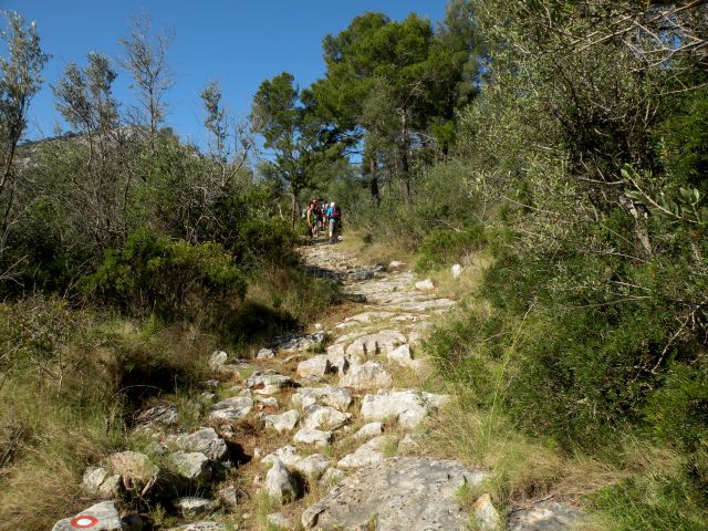 8.6.13 hrib Hom , Lastovo - foto