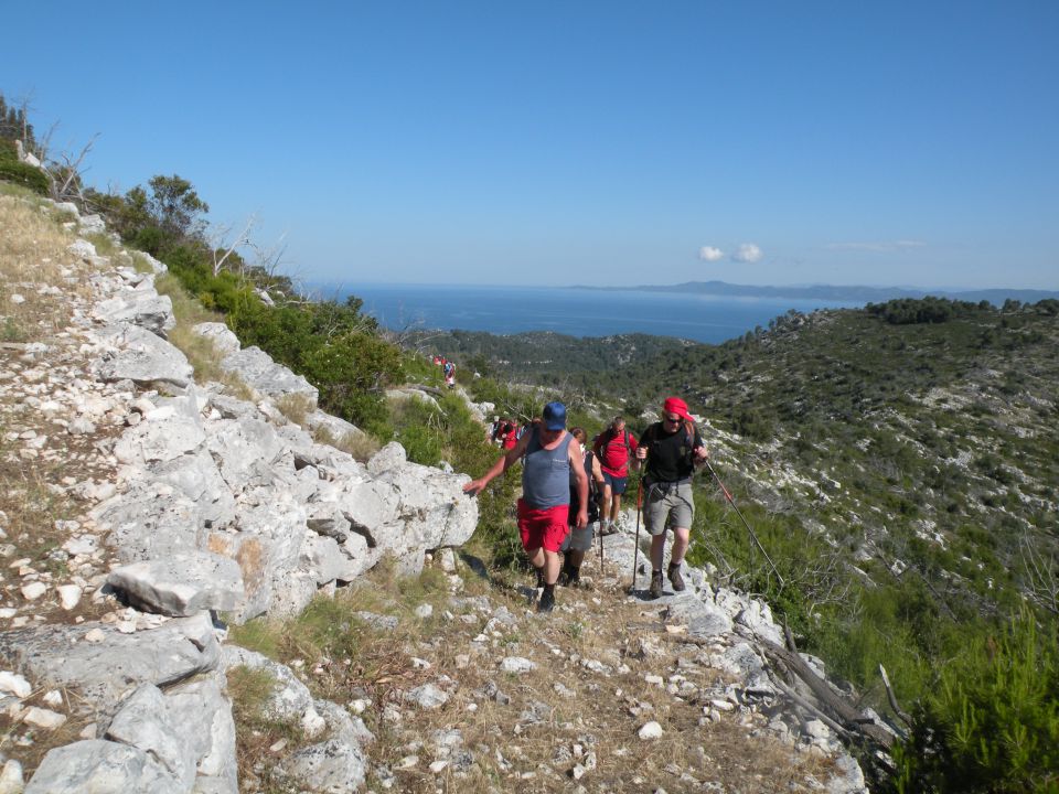 8.6.13 hrib Hom , Lastovo - foto povečava