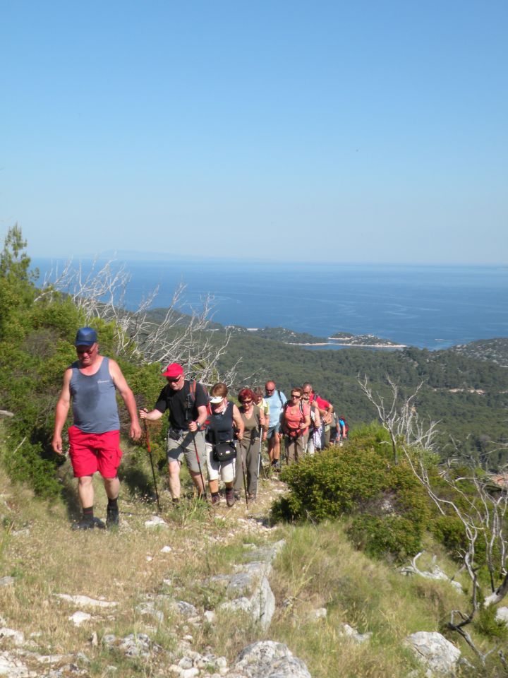 8.6.13 hrib Hom , Lastovo - foto povečava