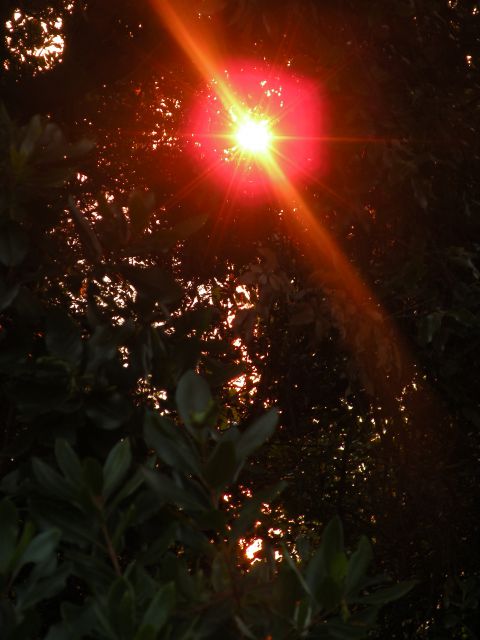 9.6.13 Lastovo - sončni vzhod, odhod - foto