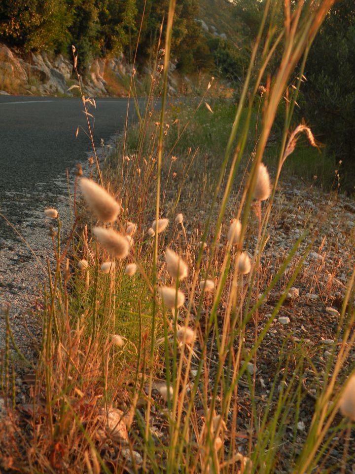 9.6.13 Lastovo - sončni vzhod, odhod - foto povečava