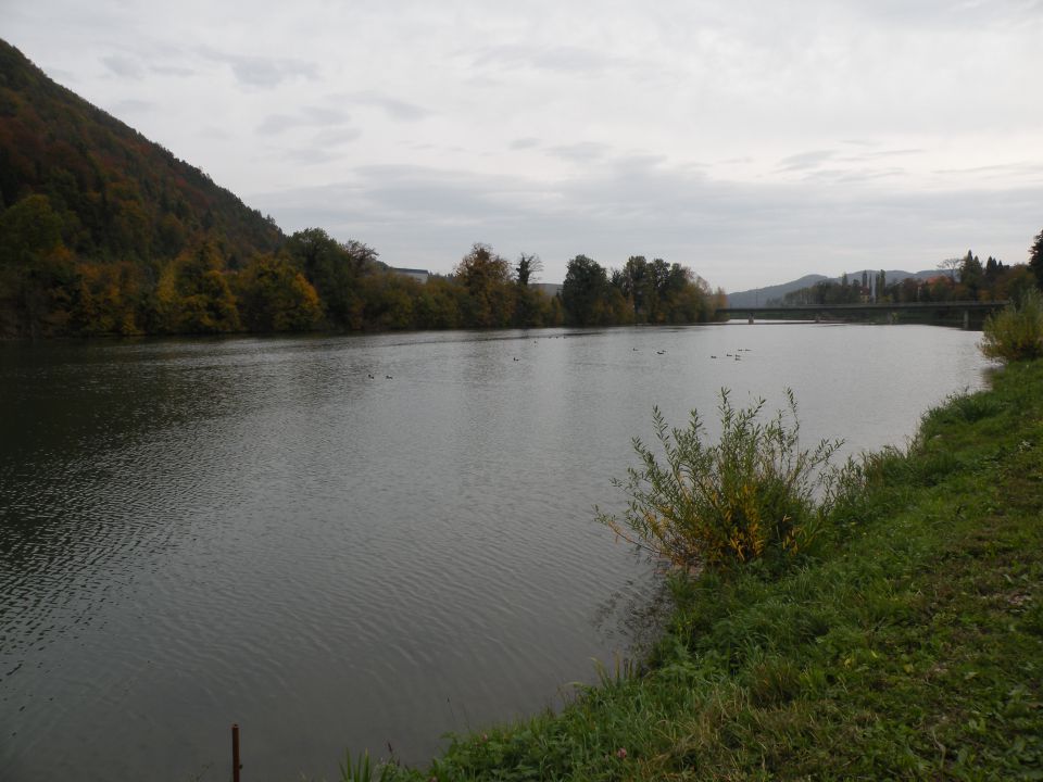 24.10.13 Radeče - Savus pot in foto.razs. - foto povečava