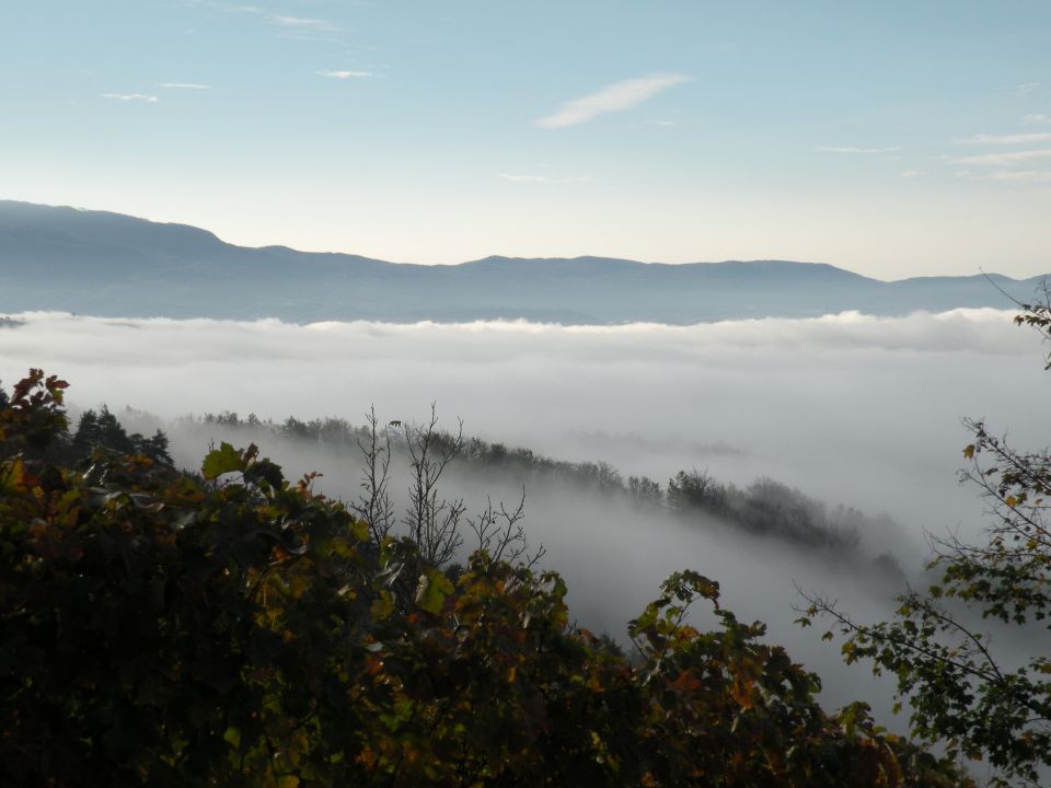 13.11.13 Otavnik,Bujnik, Telče - foto povečava