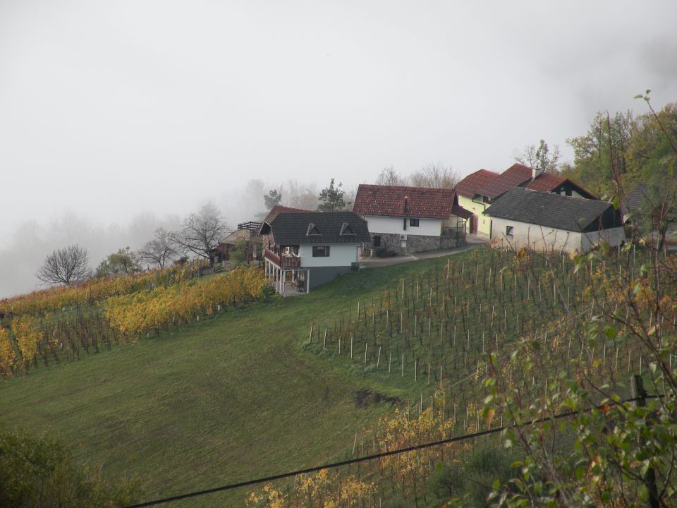 13.11.13 Otavnik,Bujnik, Telče - foto povečava