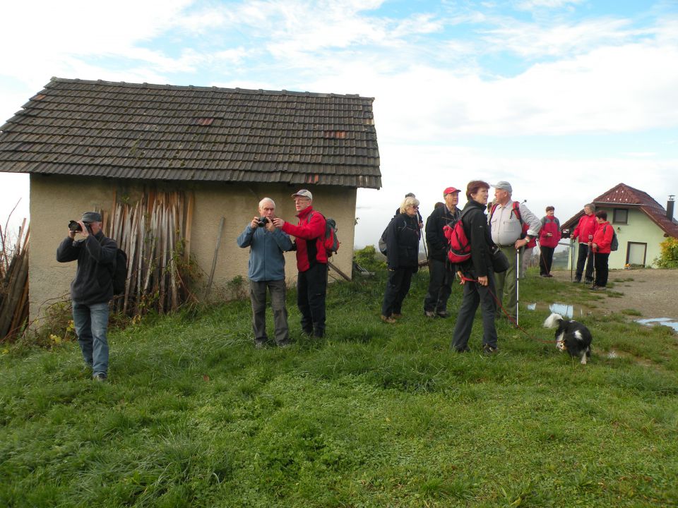 13.11.13 Otavnik,Bujnik, Telče - foto povečava