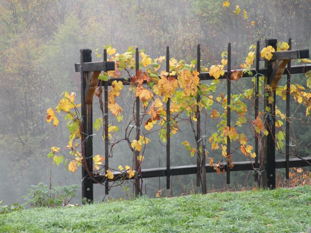 13.11.13 Otavnik,Bujnik, Telče - foto