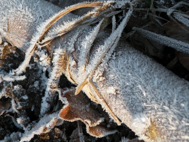 4.12.13 Pijana  gora, Telče - foto